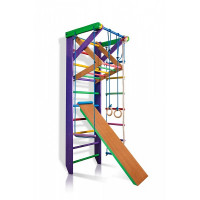 Домашній спорткомплекс Карусель 3-220